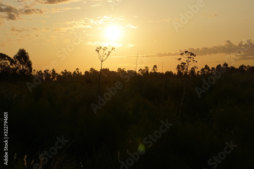 Atardecer en el campo