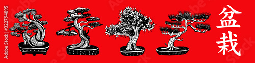 Set of 4 Bonsai trees. Vector hand drawn black and white illustration on a red background. Inscription in Japanese Bonsai characters.