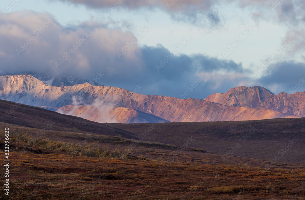 Fototapeta premium Denali National Park Alaska Scenic Autumn Landscape