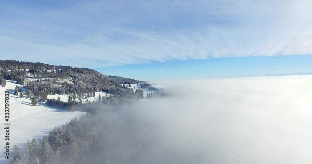 Flying over a misty landscape with a forest Flying over a misty landscape with a forest