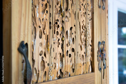 Canvas Print Old antique furniture door details, eaten by wood worms, old furniture in modern