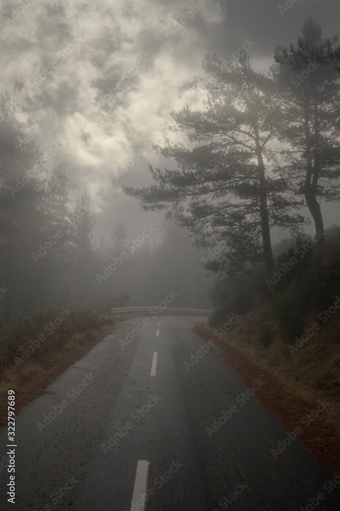 Dark mountain forest road