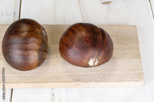 Group of two whole edible brown chestnut on wooden cutting board on white wood photo