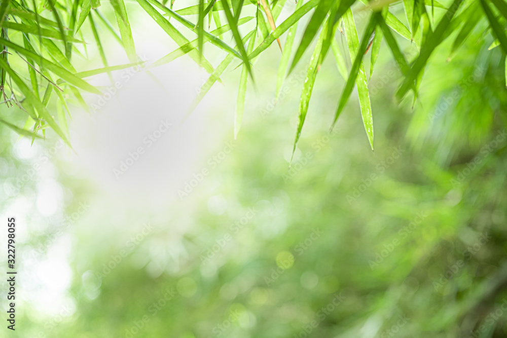 Fototapeta Zbliżenie piękny widok natury zielony liść bambusa na zieleni niewyraźne tło z promieni słonecznych i miejsca kopiowania. Służy do naturalnego tła letniego ekologii i koncepcji świeżej tapety.