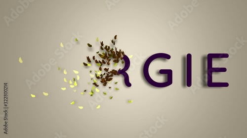 Name is Margie. The female name on a light background disappears flying in butterflies. Minimal graphics. 4k photo