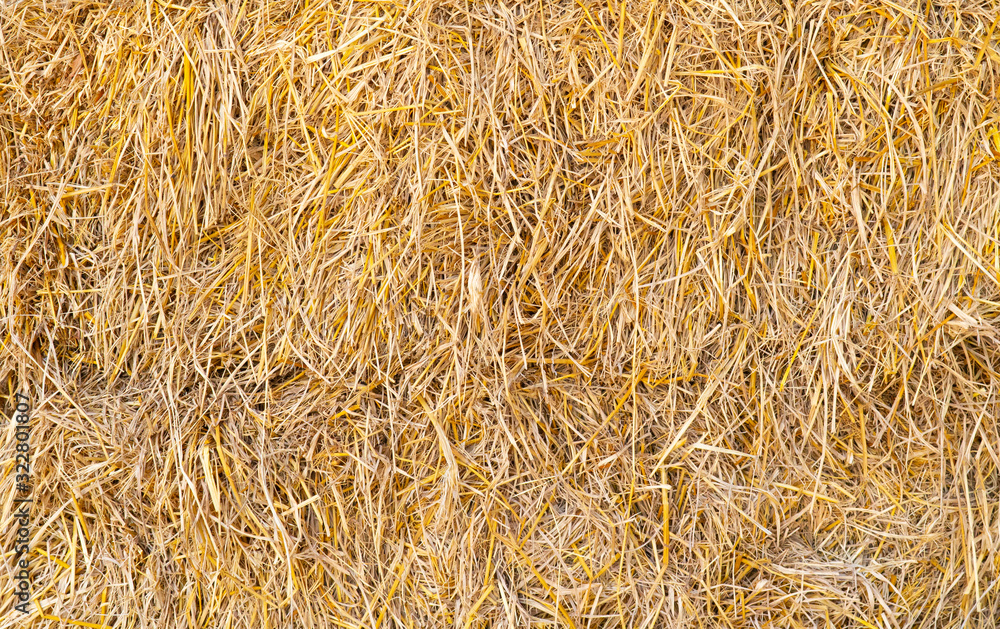 close up view of dry straw background, wallpaper close up view of dry straw background, wallpaper