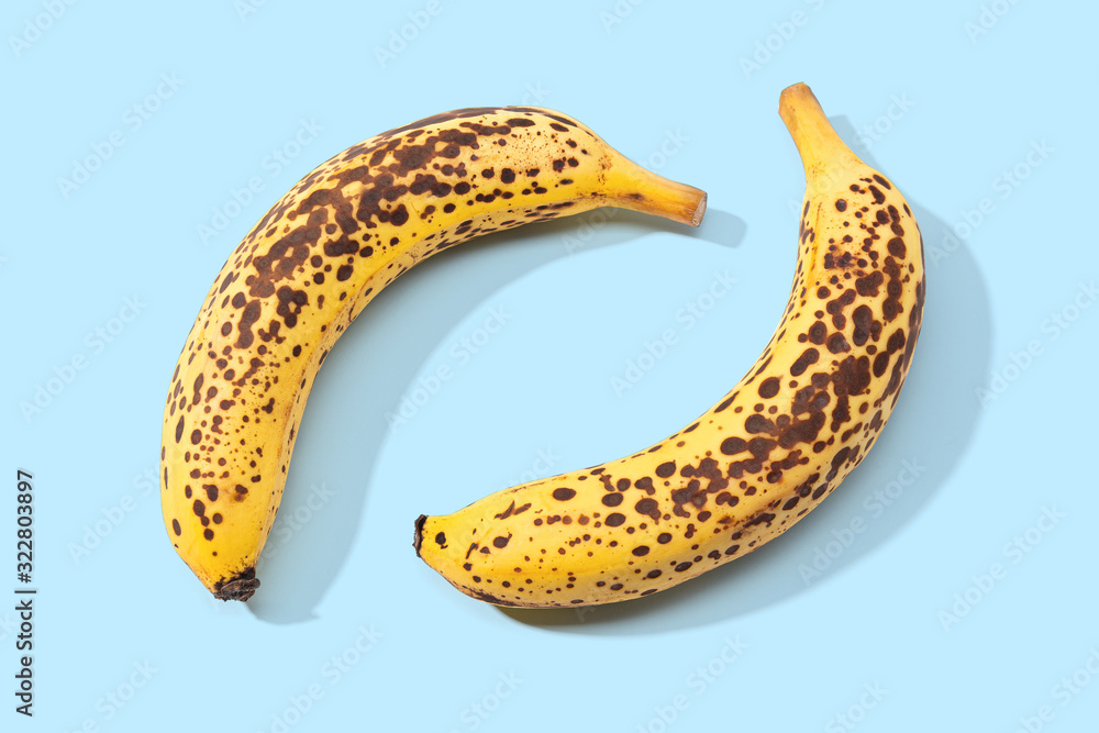 Two Spotted Banana isolated on blue background Two Spotted Banana isolated on blue background