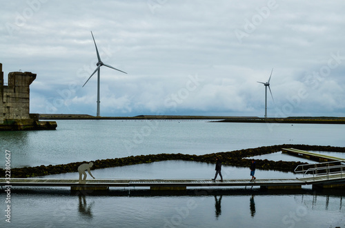 Oosterscheldekering, the netherlands, August 2019. In the Zeeland countryside, wind farms: a particular landscape characterized by wind turbines. photo