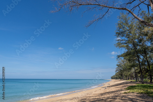 Ocean view and white sand beach with blue sky and a branch of pine tree background