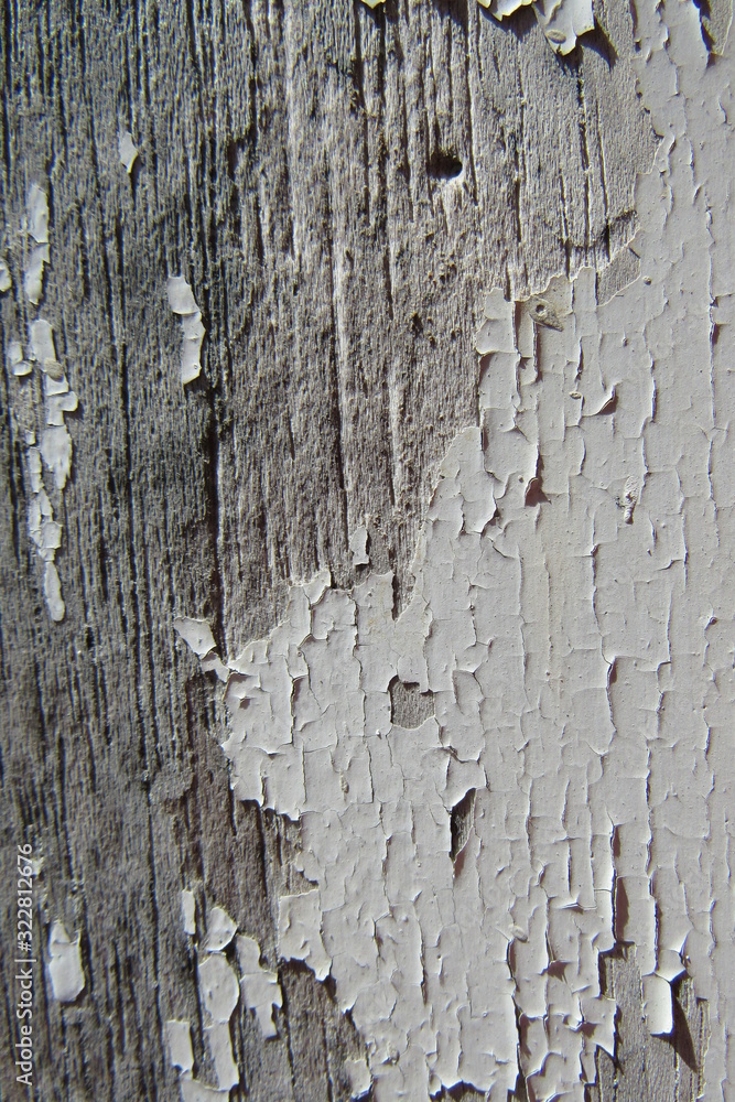 Obraz premium Old paint wood background texture