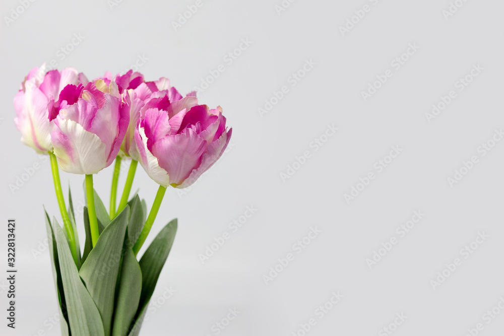 Spring Flowers bunch. Colorful Tulips Spring Flowers bunch. Colorful Tulips