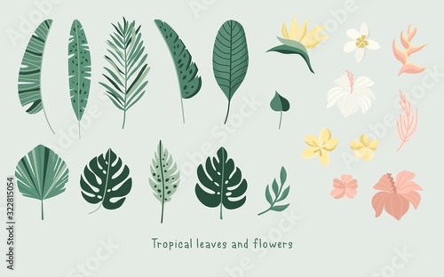 Tropical leaves and flowers collection. Vector summer illustration. Greenery  palm leaves  banana leaf  hibiscus  plumeria flowers.