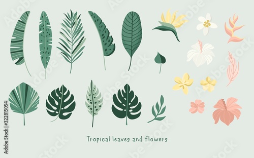 Tropical leaves and flowers collection. Vector summer illustration. Greenery, palm leaves, banana leaf, hibiscus, plumeria flowers.