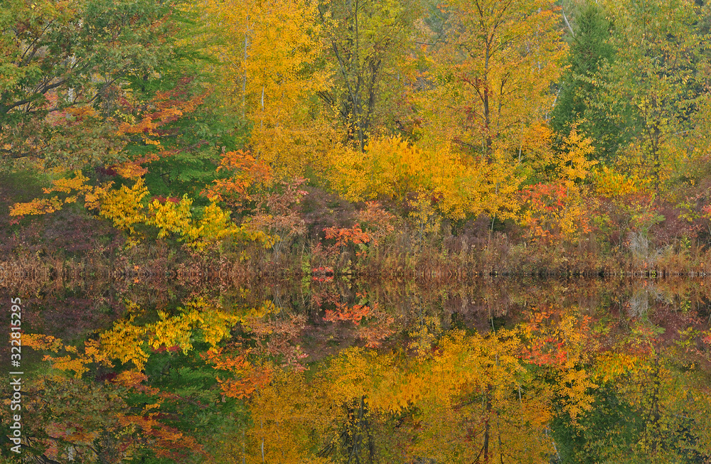 Autumn landscape of the shoreline of Hall Lake with mirrored reflections in calm water, Yankee Springs State Park, Michigan, USA