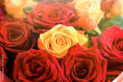bouquet of red and yellow roses close-up. concept of congratulations and gifts