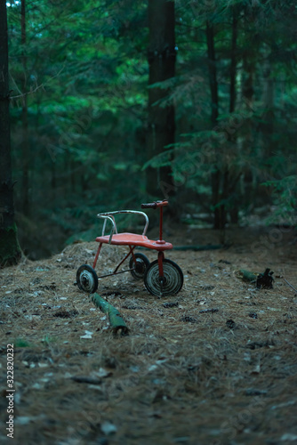 Abandoned tricycle in dark fir forest.