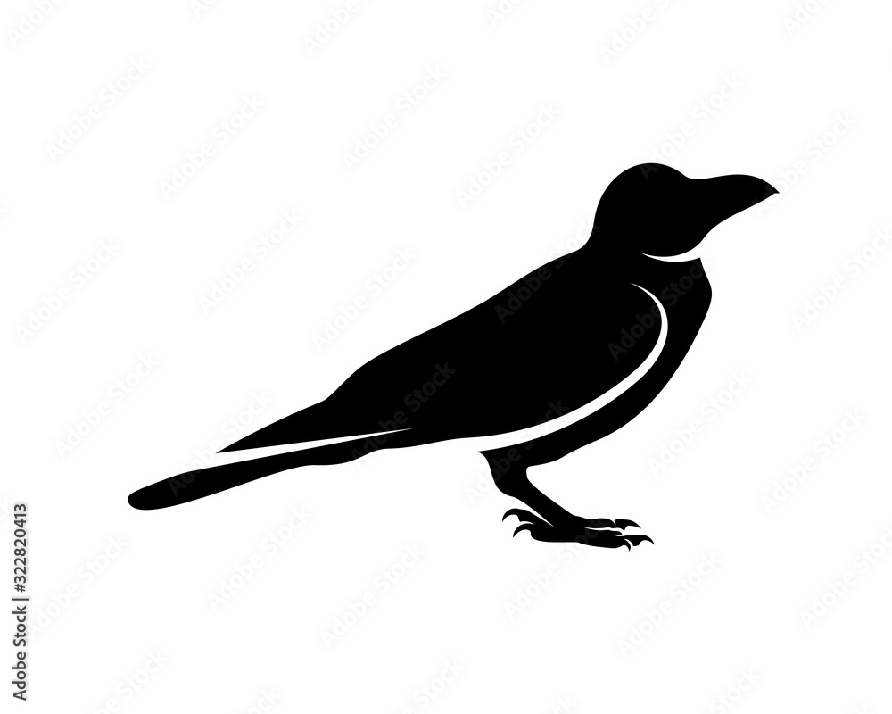 Fototapeta premium Raven bird logo vector template, Black silhouette of a crow on an isolated background