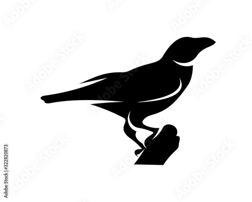 Raven bird logo vector template, Black silhouette of a crow on an isolated background