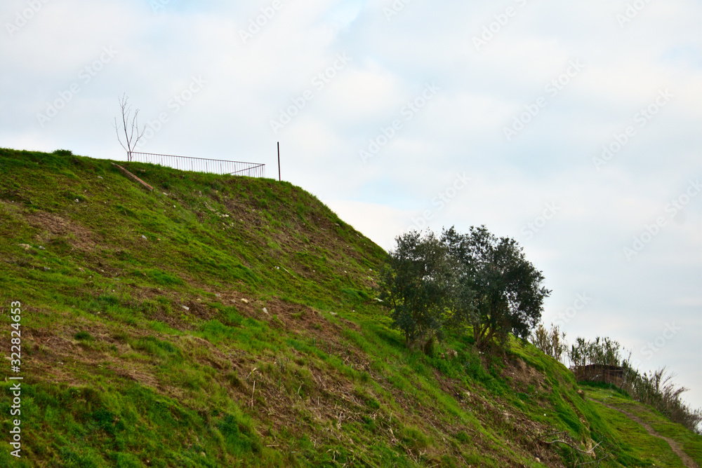 Lush green hill side nature landscape in Lisbon Portugal Lush green hill side nature landscape in Lisbon Portugal