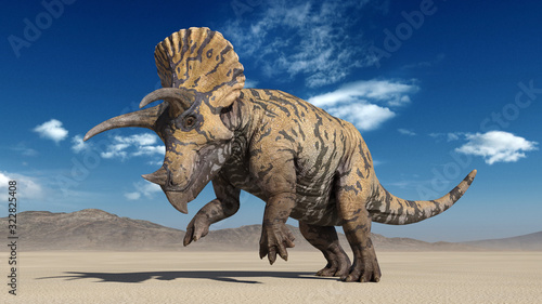 Triceratops, dinosaur reptile prancing, prehistoric Jurassic animal in deserted nature environment, 3D illustration