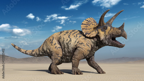 Triceratops, dinosaur reptile roaring, prehistoric Jurassic animal in deserted nature environment, 3D illustration © freestyle_images