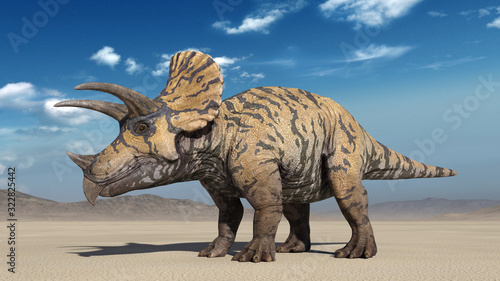 Triceratops, dinosaur reptile standing, prehistoric Jurassic animal in deserted nature environment, 3D illustration