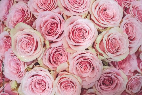Background of pink roses for Valentine s day