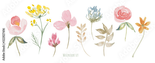 Fototapeta Naklejka Na Ścianę i Meble -  Wildflowers watercolor set. Greeting, invitation, wedding, birthday card. Botanical illustration. Green leaves. Design elements