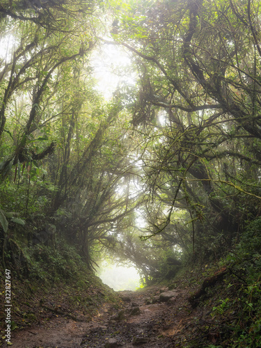 The Monteverde Cloud Forest Reserve  Reserva Biol  gica Bosque Nuboso Monteverde  is a Costa Rican reserve located along the Cordillera de Tilar  n within the Puntarenas and Alajuela provinces.