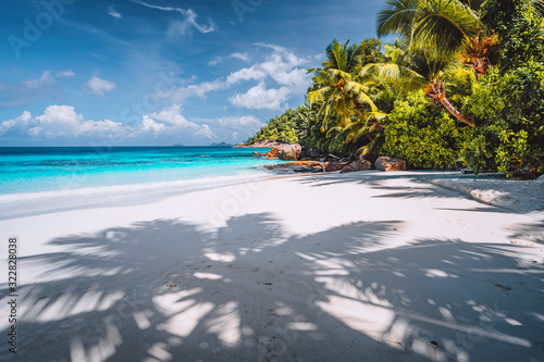 Fototapeta Naklejka Na Ścianę i Meble -  Palm tree shadow on tropical tranquil beach with powdery white sand, crystal clear blue ocean lagoon and palm trees in background. Vacation and lifestyle concept