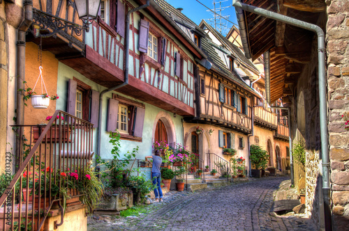 Street in the Beautiful French Village of Eguisheim