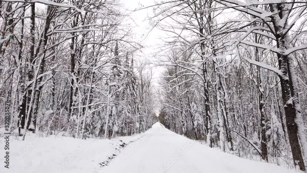 Driving through beautiful snow covered Winter forest on one lane road. Driving through beautiful snow covered Winter forest on one lane road.
