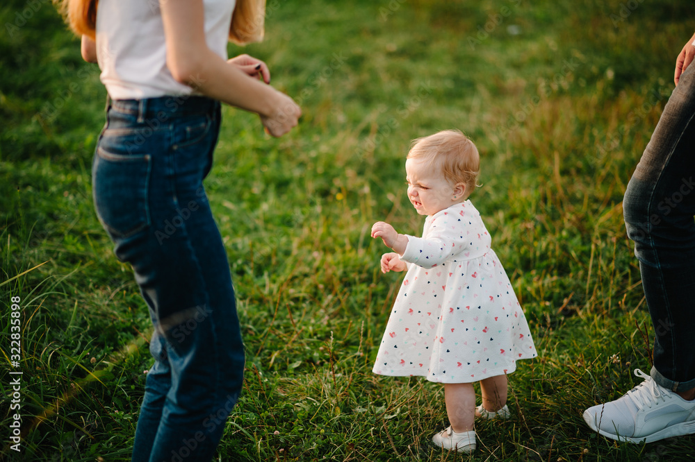 Portrait of a happy young family spending time together on nature. Mom, dad holds daughter walk in the park. The concept of family holiday. Portrait of a happy young family spending time together on nature. Mom, dad holds daughter walk in the park. The concept of family holiday.