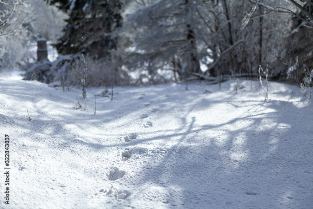 footprints in the snow in the mountains footprints in the snow in the mountains