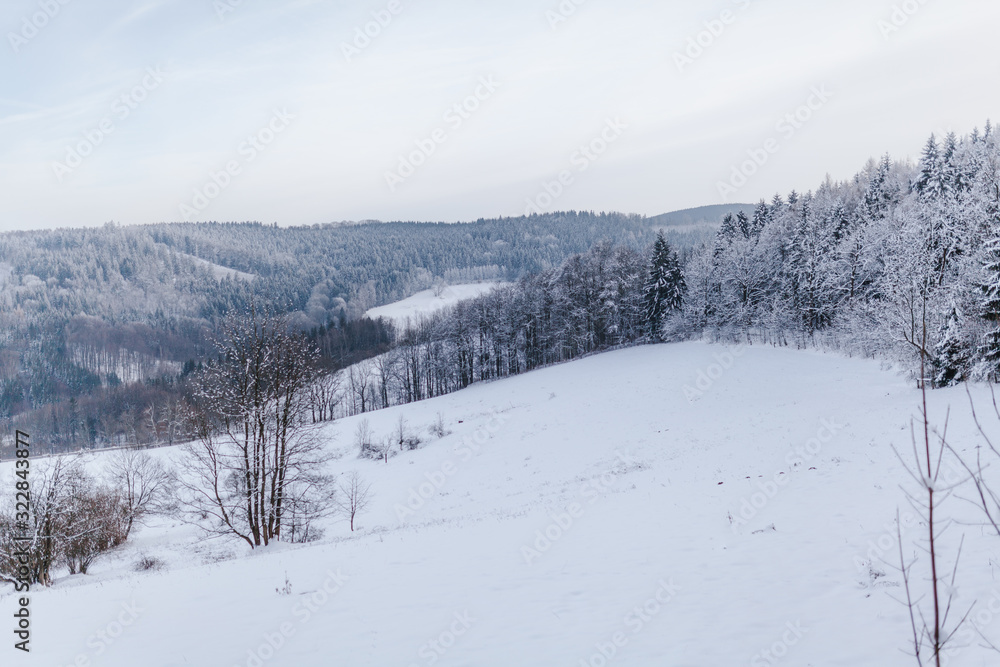 view of the forest and mountains covered with snow in winter