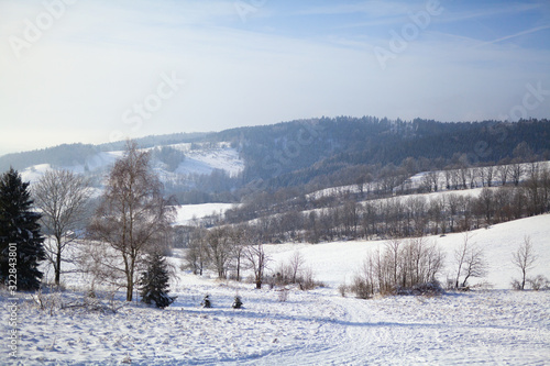 view of the forest and mountains covered with snow in winter © volf anders