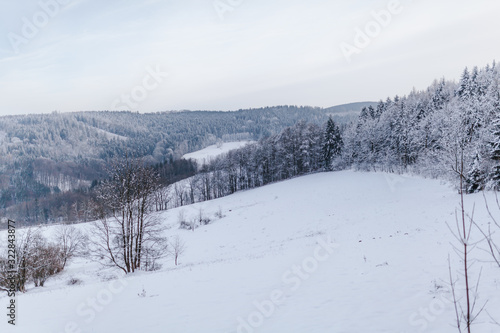 view of the forest and mountains covered with snow in winter © volf anders