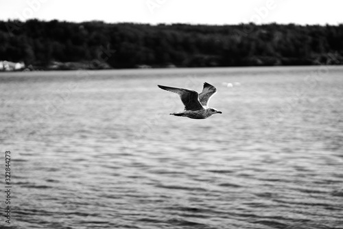 Canvas Print By the Docks, Lysaker, Oslo, Norway