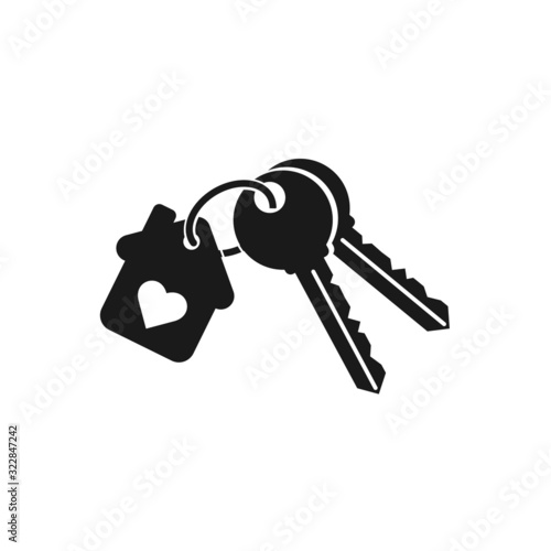 Line icon, house keys isolated on white background.