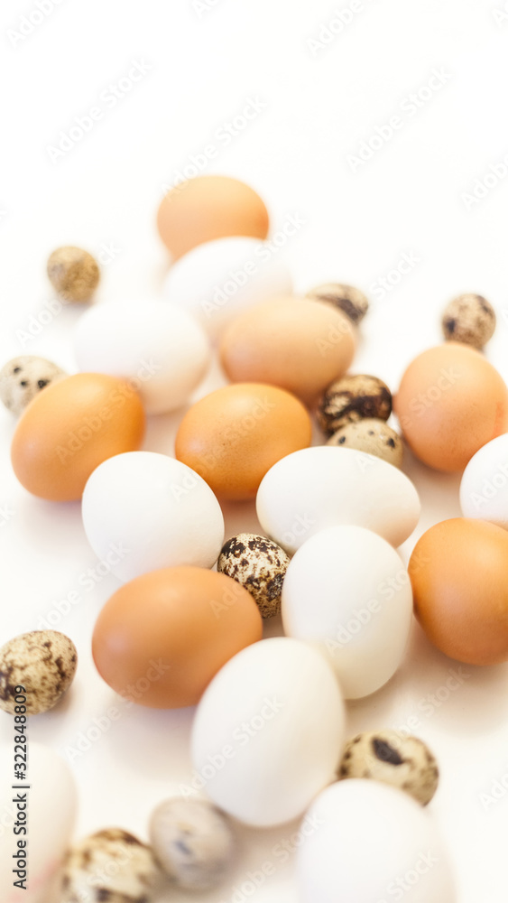 white and brown quail and chicken eggs on white background with plenty of space, copy space, laboratory for health and control, biological, hygienic examination cut out easter decoration.. white and brown quail and chicken eggs on white background with plenty of space, copy space, laboratory for health and control, biological, hygienic examination cut out easter decoration..
