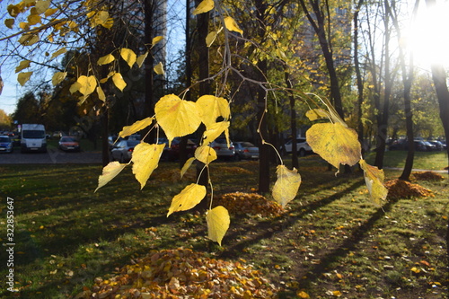 autumn