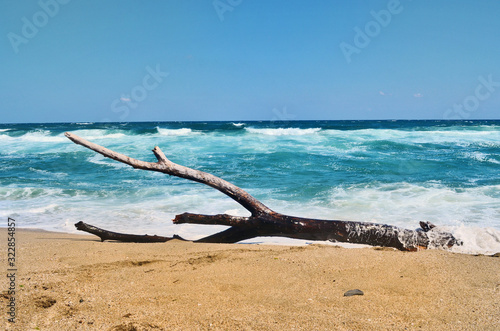 Beautiful Sea Landscape with Waves Breaking on a Sandy Beach and Dry Tree 