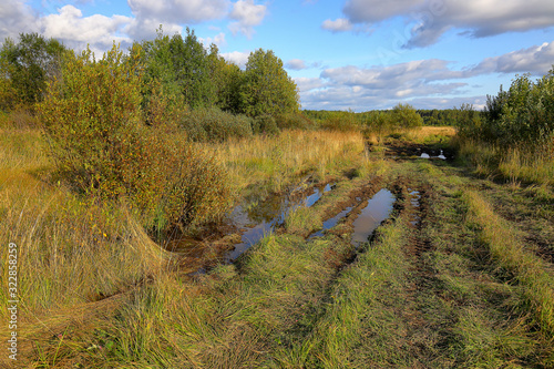 Water filled wheel ruts on an abandoned muddy forest road in the evening sun