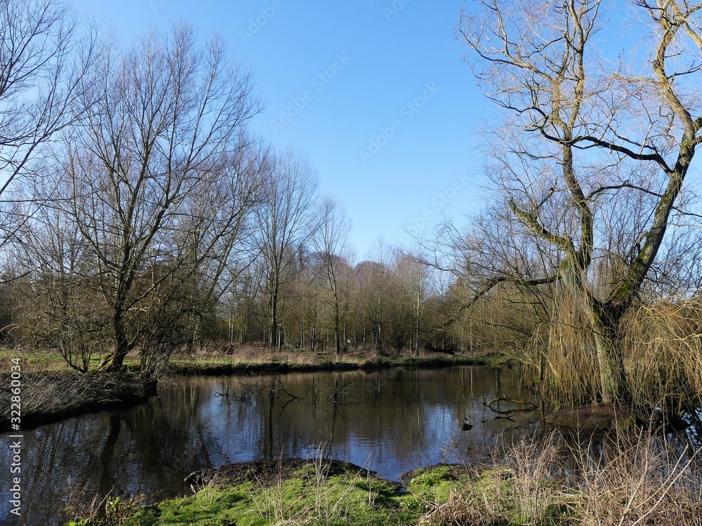 The River Chess, a chalk stream in the Chiltern Hills, Hertfordshire, UK The River Chess, a chalk stream in the Chiltern Hills, Hertfordshire, UK
