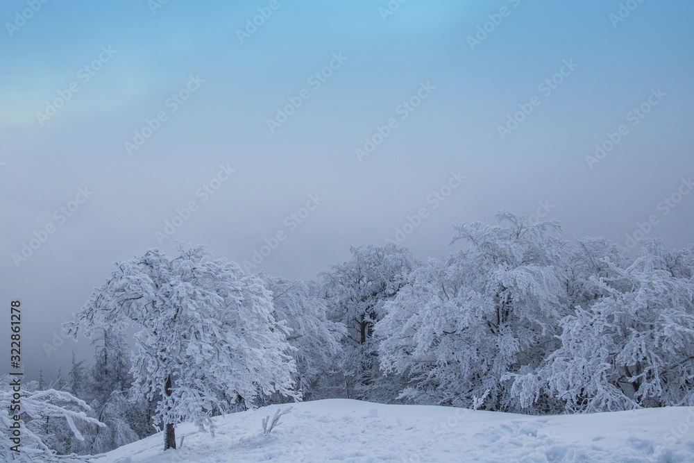 winter fairy tale in the Lusatian mountains winter fairy tale in the Lusatian mountains
