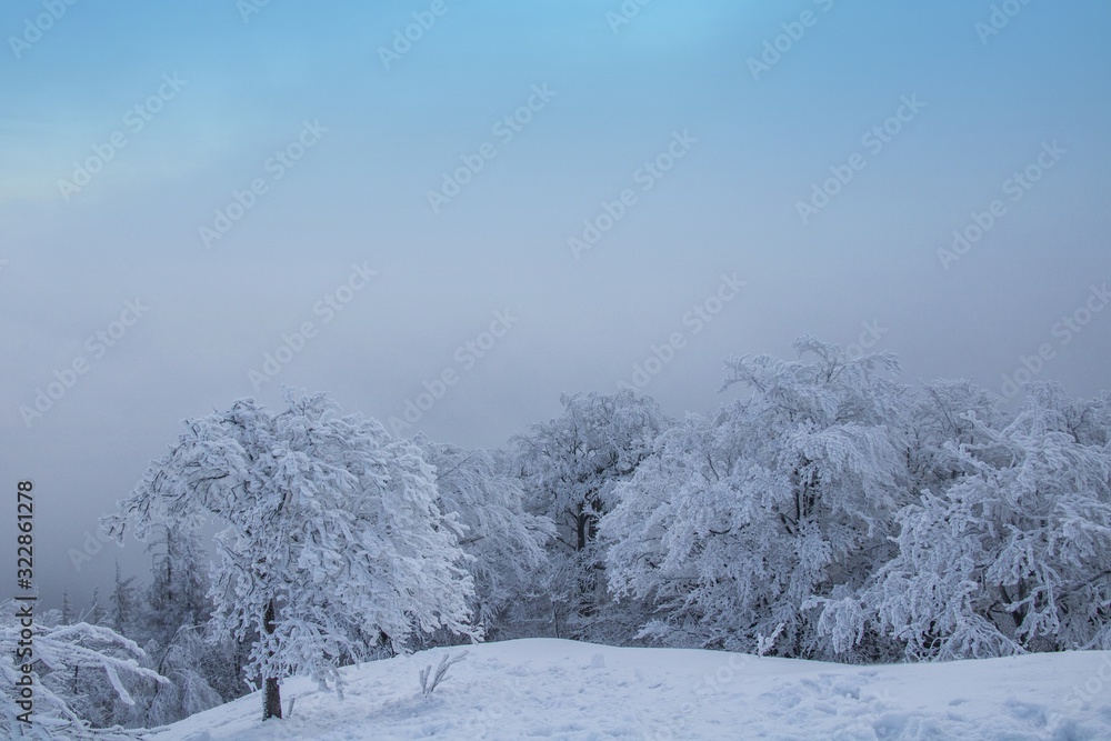  winter fairy tale in the Lusatian mountains