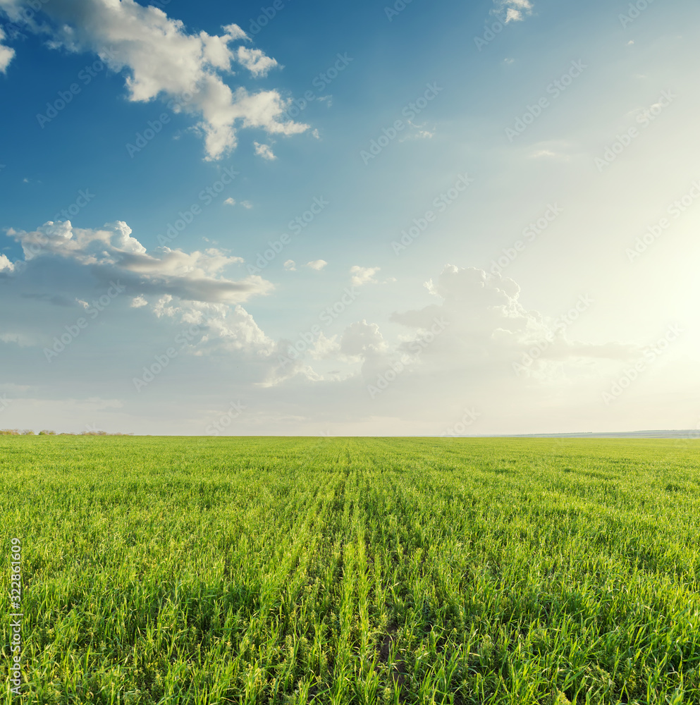 green agriculture field and sunset in clouds green agriculture field and sunset in clouds
