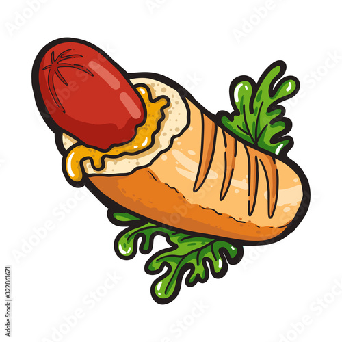 French hot-dog with salad. Vector illustration