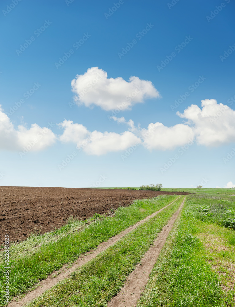 rural road in spring agriculture field and blue sky with clouds