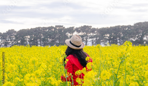 Woman in red sweater and hat in yellow flower field. Concept of spring